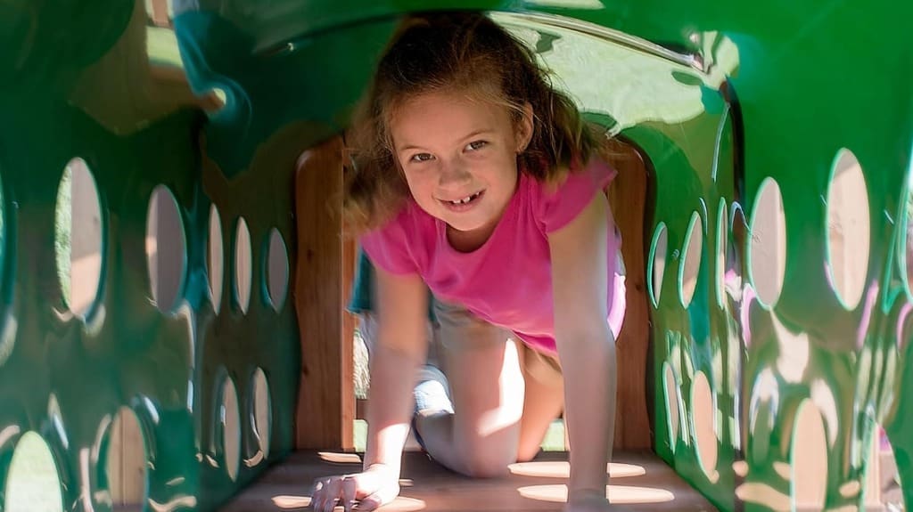 Backyard Discovery Woodridge Elite Playset Playground Fun