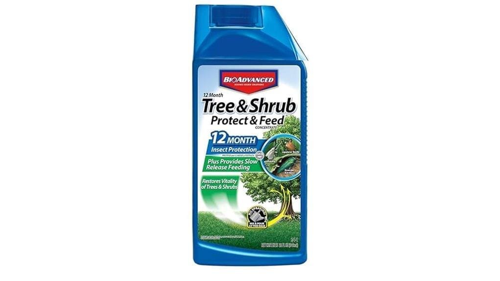 year round tree and shrub care